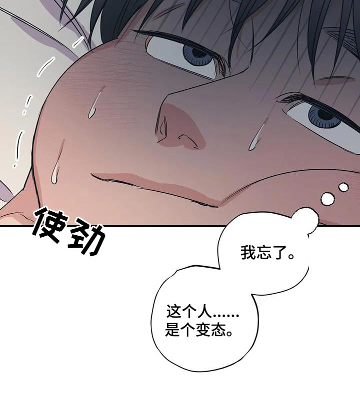 《百万浪漫史》漫画最新章节第174章：【外传】就是你免费下拉式在线观看章节第【1】张图片