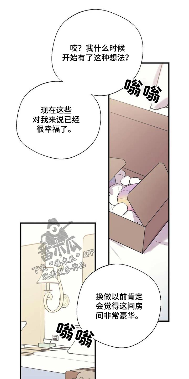 《百万浪漫史》漫画最新章节第177章：【外传】彻底免费下拉式在线观看章节第【15】张图片