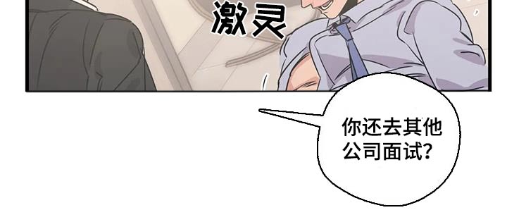 《百万浪漫史》漫画最新章节第196章：【外传】下周末免费下拉式在线观看章节第【11】张图片