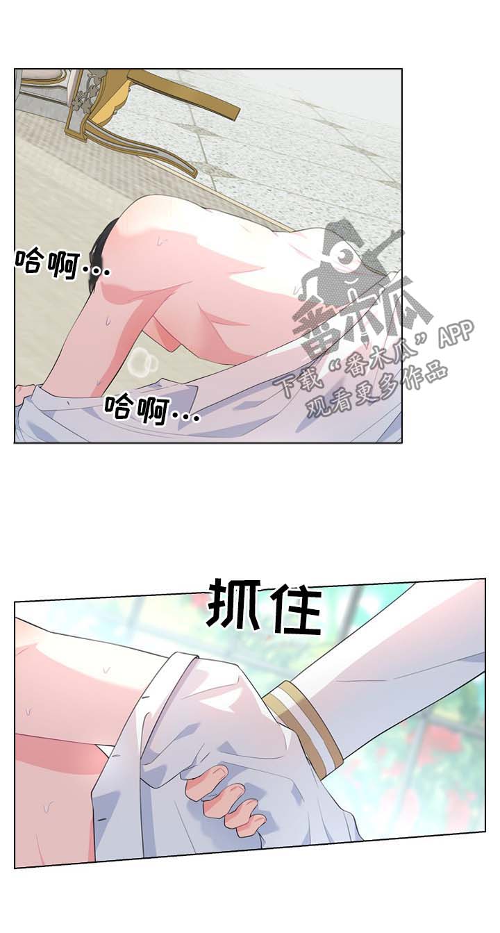 《皇室血脉》漫画最新章节第27章：刚开始免费下拉式在线观看章节第【3】张图片