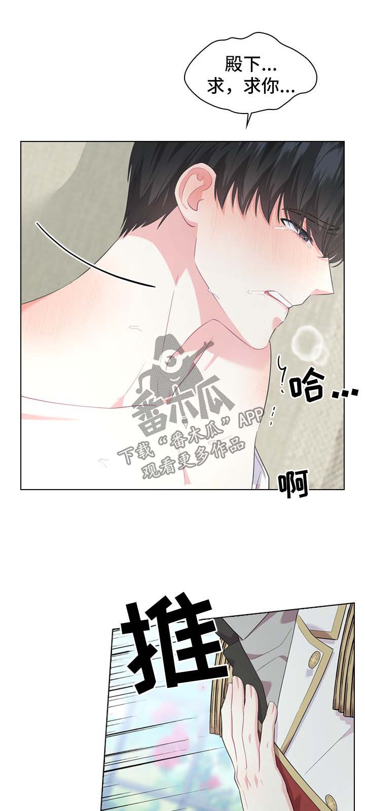 《皇室血脉》漫画最新章节第27章：刚开始免费下拉式在线观看章节第【9】张图片