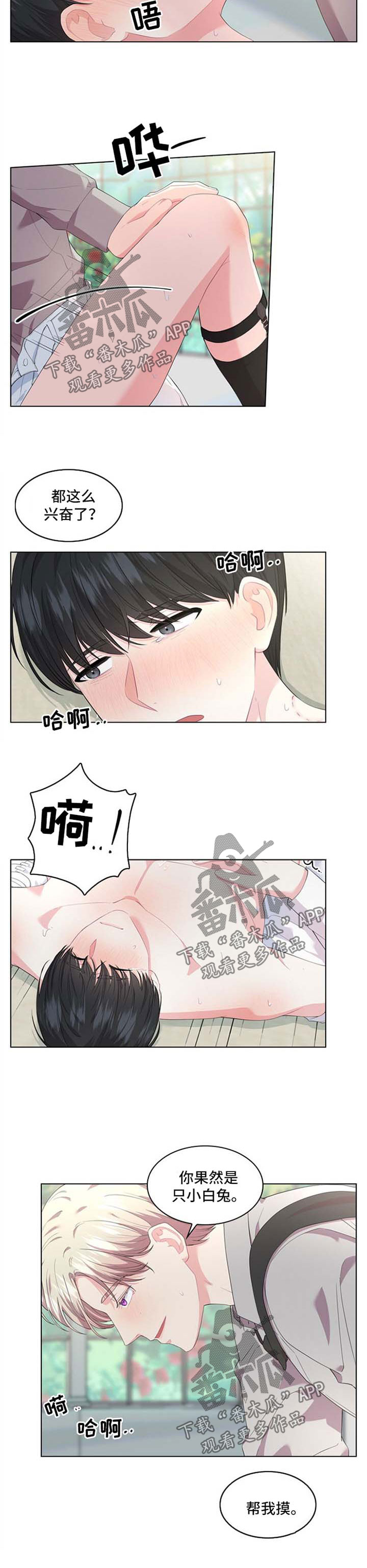 《皇室血脉》漫画最新章节第29章：迷药免费下拉式在线观看章节第【7】张图片