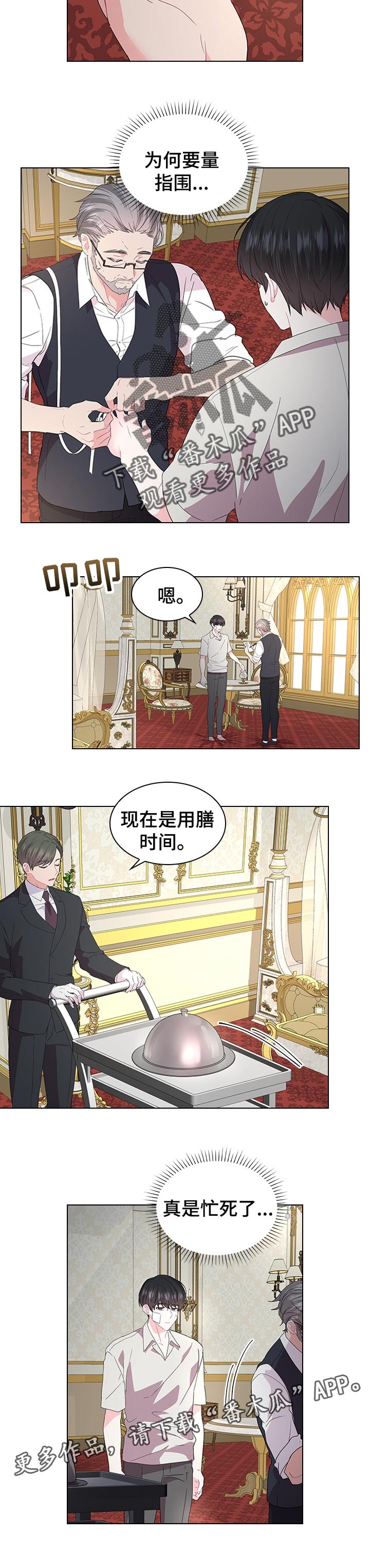 《皇室血脉》漫画最新章节第84章：期待着的婚礼免费下拉式在线观看章节第【1】张图片