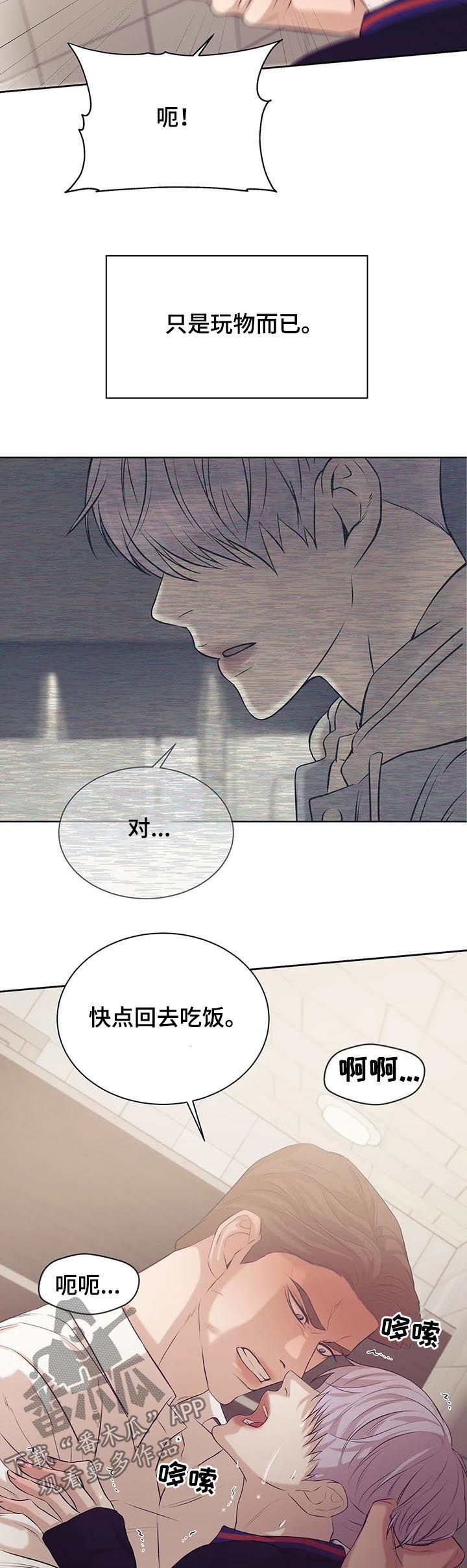 《贝壳少年》漫画最新章节第62章：只是玩物免费下拉式在线观看章节第【2】张图片