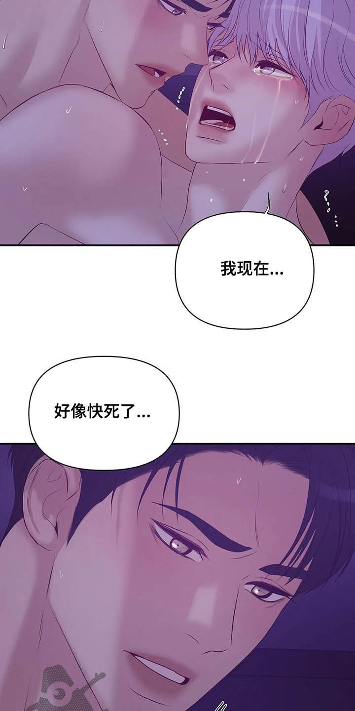 《贝壳少年》漫画最新章节第97章：【第二季】提议免费下拉式在线观看章节第【27】张图片