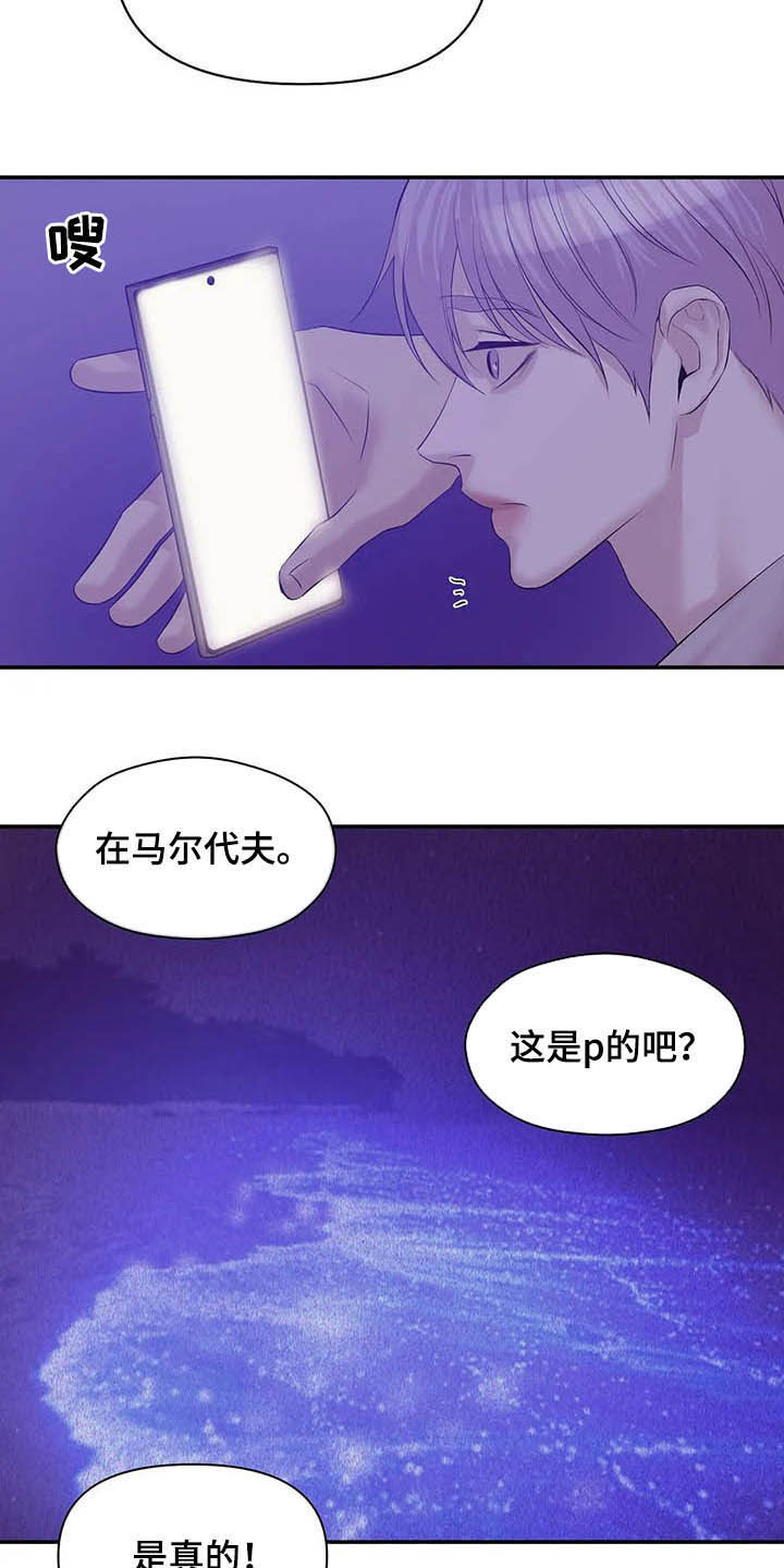 《贝壳少年》漫画最新章节第97章：【第二季】提议免费下拉式在线观看章节第【8】张图片