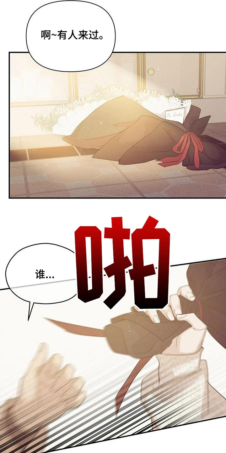 《贝壳少年》漫画最新章节第132章：【第三季】有人来过免费下拉式在线观看章节第【4】张图片