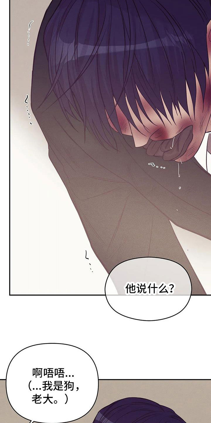 《贝壳少年》漫画最新章节第137章：【第三季】你甘愿吗免费下拉式在线观看章节第【26】张图片