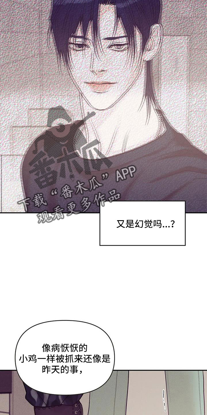 《贝壳少年》漫画最新章节第143章：【第三季】遇袭免费下拉式在线观看章节第【5】张图片