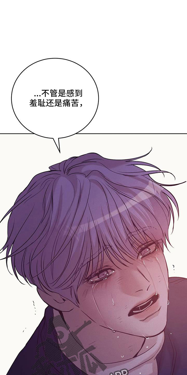 《贝壳少年》漫画最新章节第153章：【第三季】来得太晚免费下拉式在线观看章节第【14】张图片