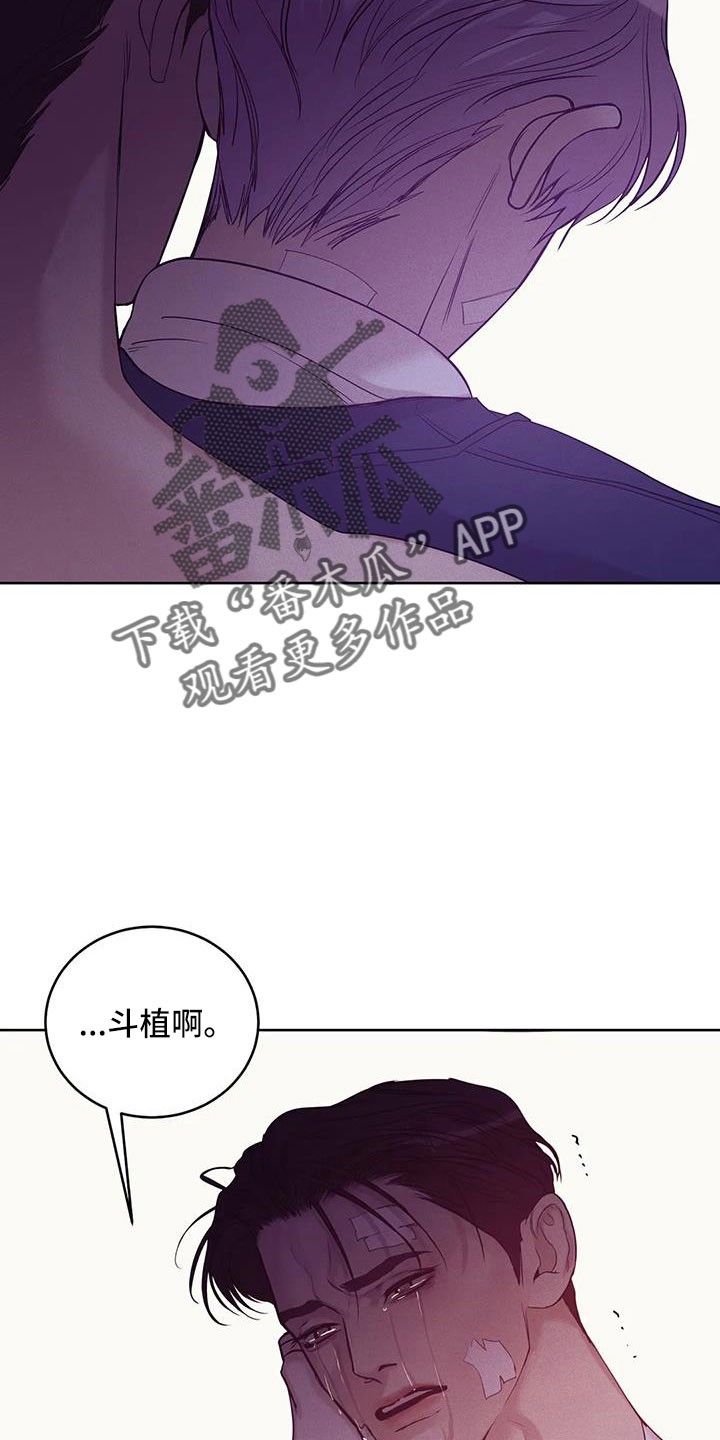 《贝壳少年》漫画最新章节第153章：【第三季】来得太晚免费下拉式在线观看章节第【16】张图片