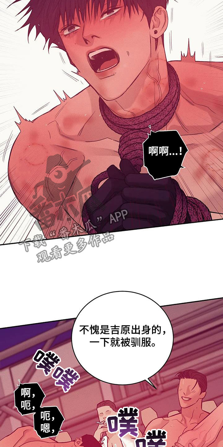 《贝壳少年》漫画最新章节第159章：【第三季】收拾干净免费下拉式在线观看章节第【11】张图片