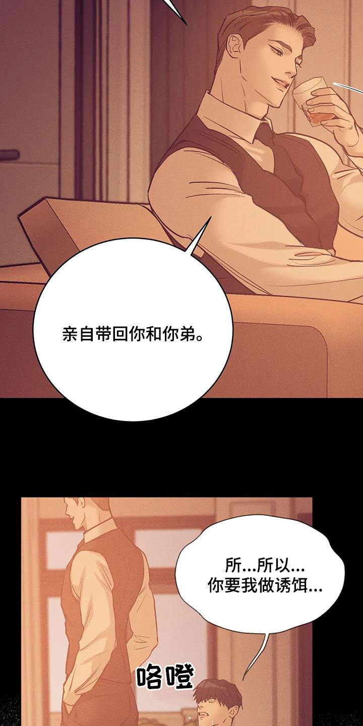 《贝壳少年》漫画最新章节第163章：【第三季】诱饵免费下拉式在线观看章节第【19】张图片