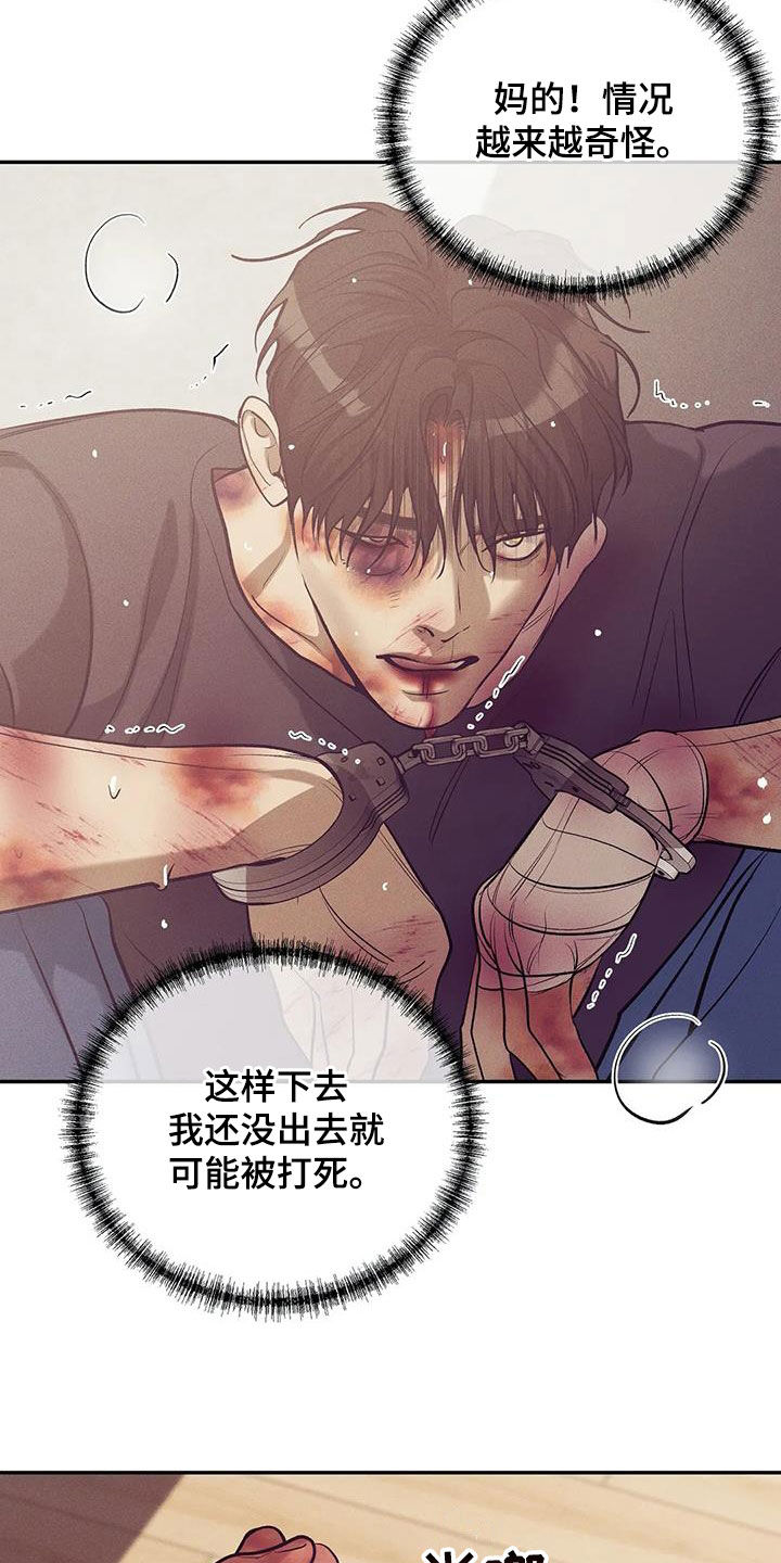 《贝壳少年》漫画最新章节第172章：【第三季】自首吧免费下拉式在线观看章节第【16】张图片