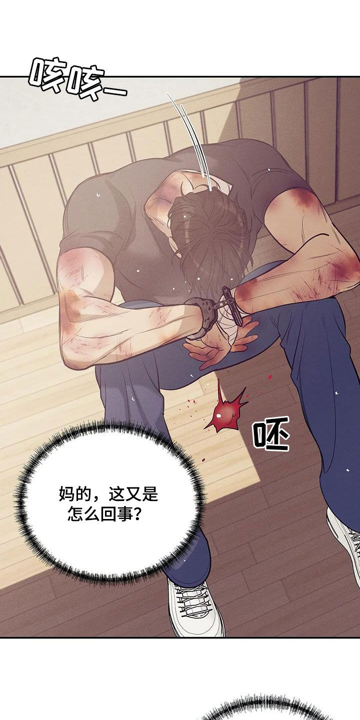 《贝壳少年》漫画最新章节第172章：【第三季】自首吧免费下拉式在线观看章节第【17】张图片