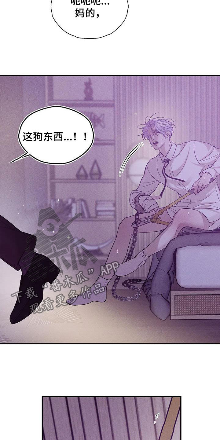 《贝壳少年》漫画最新章节第176章：【第三季】搏斗免费下拉式在线观看章节第【13】张图片