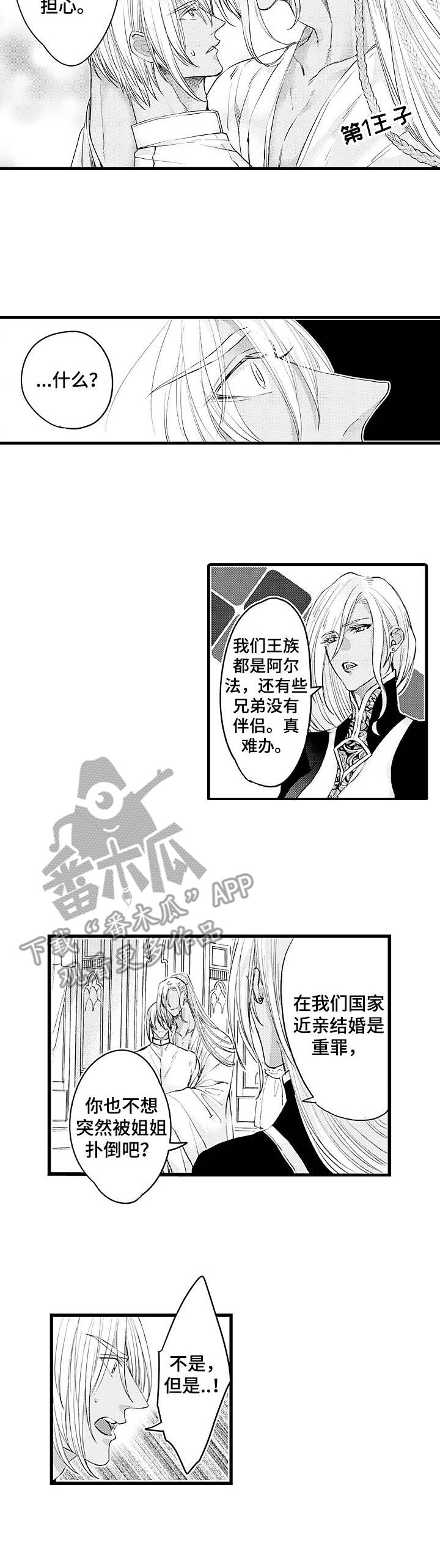 《强强对碰》漫画最新章节第16章：王族免费下拉式在线观看章节第【3】张图片