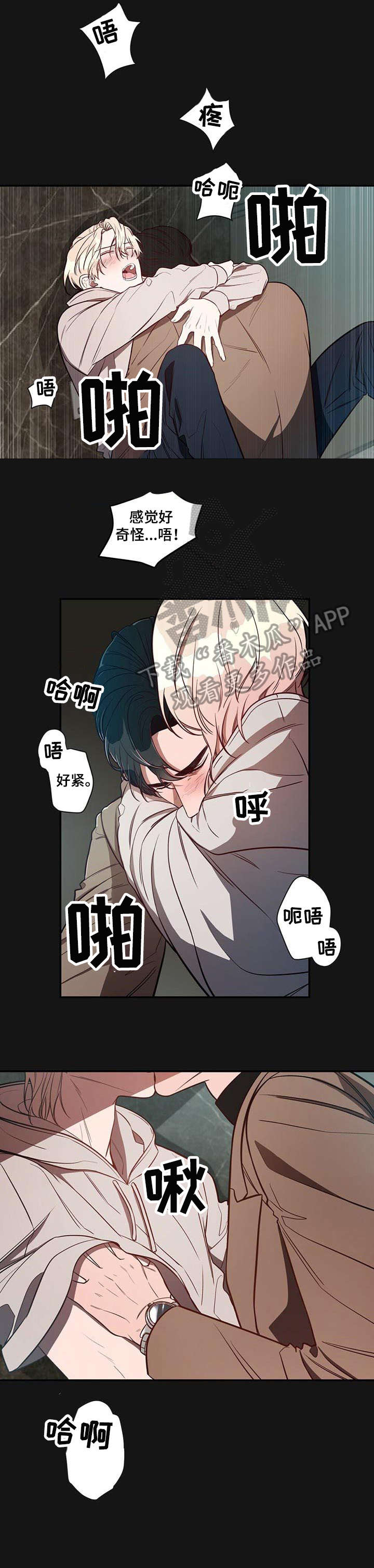 《纽约秘事》漫画最新章节第14章：初识免费下拉式在线观看章节第【4】张图片