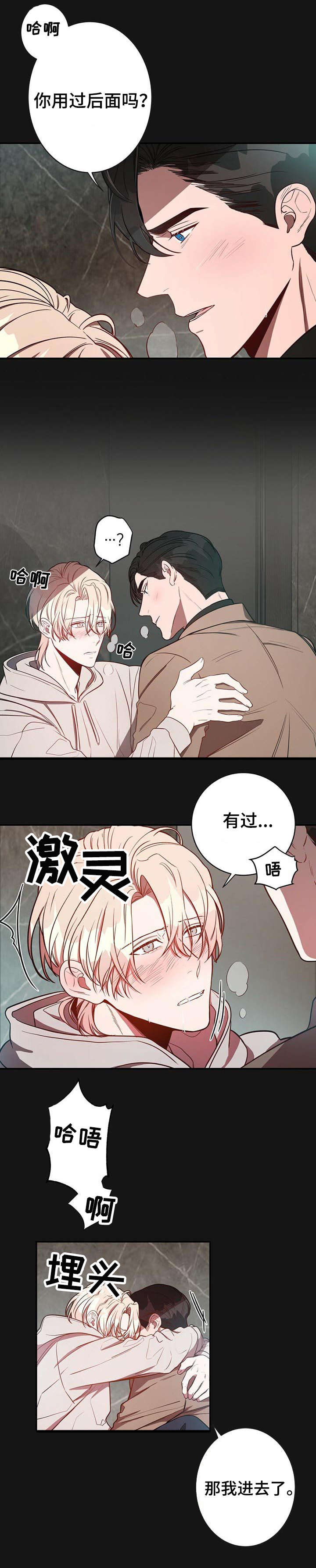 《纽约秘事》漫画最新章节第14章：初识免费下拉式在线观看章节第【5】张图片