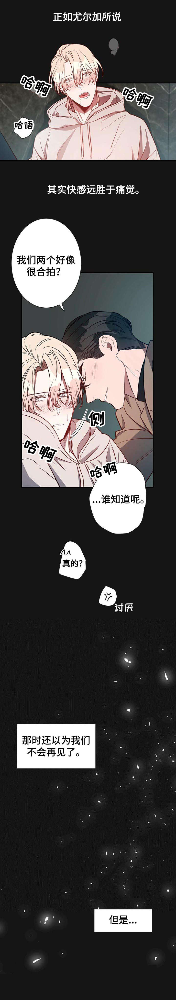 《纽约秘事》漫画最新章节第15章：好想法免费下拉式在线观看章节第【9】张图片