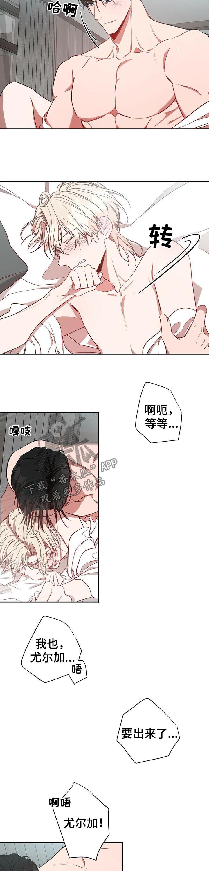 《纽约秘事》漫画最新章节第23章：特别免费下拉式在线观看章节第【6】张图片