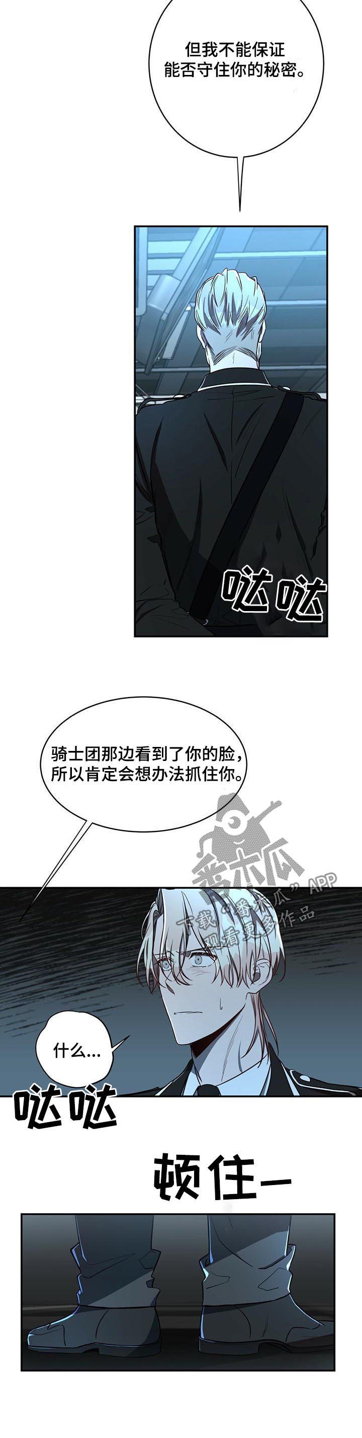 《纽约秘事》漫画最新章节第26章：任务免费下拉式在线观看章节第【5】张图片