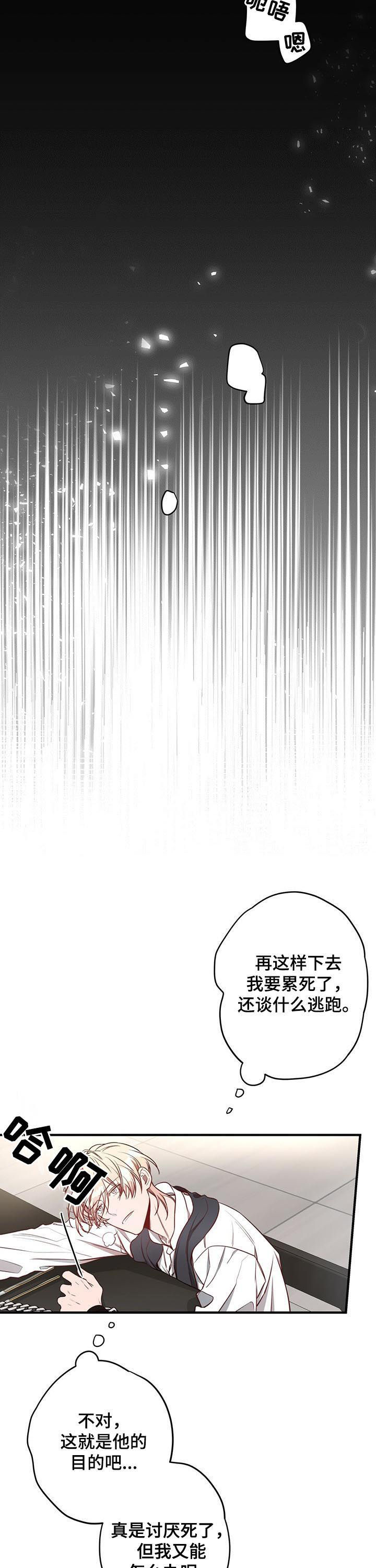 《纽约秘事》漫画最新章节第43章：喂你免费下拉式在线观看章节第【5】张图片