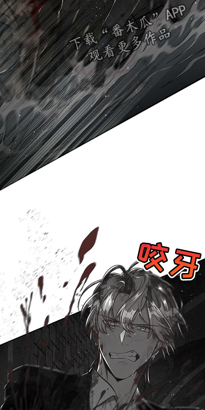 《纽约秘事》漫画最新章节第105章：【第二季】搏斗免费下拉式在线观看章节第【6】张图片