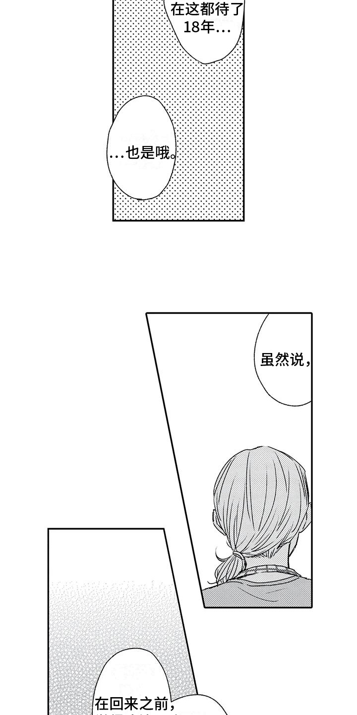 《可爱的傻瓜君》漫画最新章节第16章：再会免费下拉式在线观看章节第【13】张图片