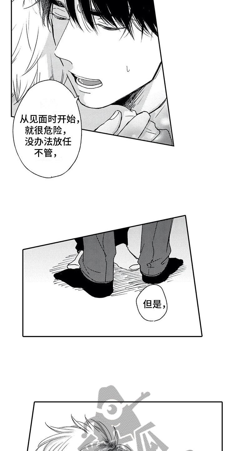 《可爱的傻瓜君》漫画最新章节第17章：喜欢免费下拉式在线观看章节第【12】张图片