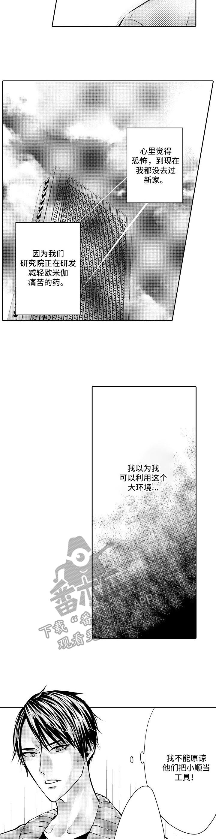 《金三角友谊》漫画最新章节第3章：新房免费下拉式在线观看章节第【5】张图片