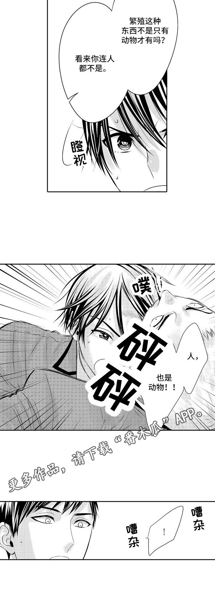 《金三角友谊》漫画最新章节第11章：欺负免费下拉式在线观看章节第【3】张图片