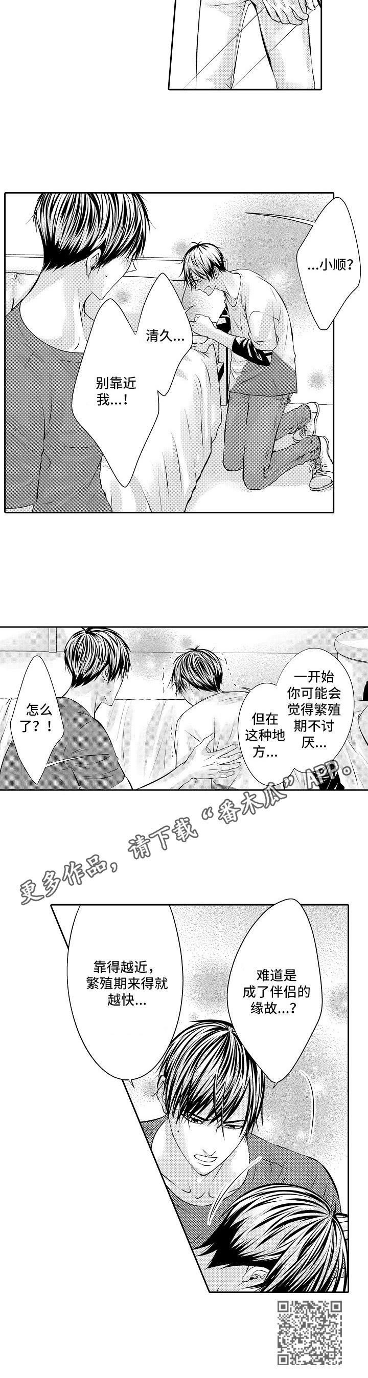 《金三角友谊》漫画最新章节第12章：期待免费下拉式在线观看章节第【1】张图片