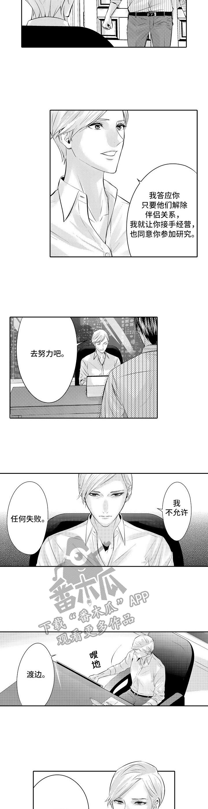 《金三角友谊》漫画最新章节第17章：到时候了免费下拉式在线观看章节第【8】张图片