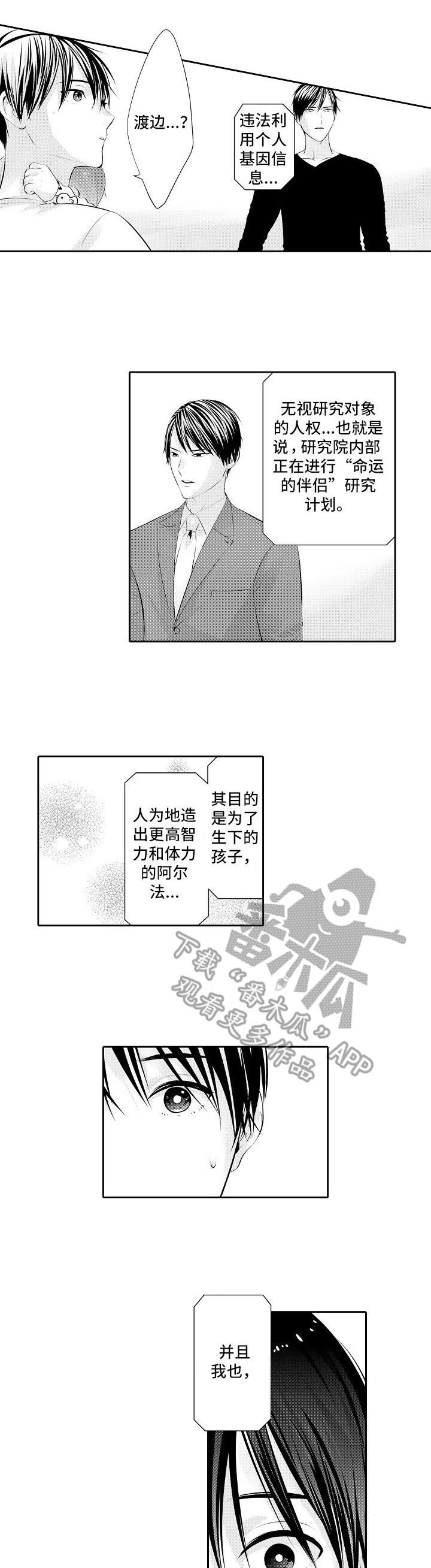 《金三角友谊》漫画最新章节第20章：重逢免费下拉式在线观看章节第【10】张图片