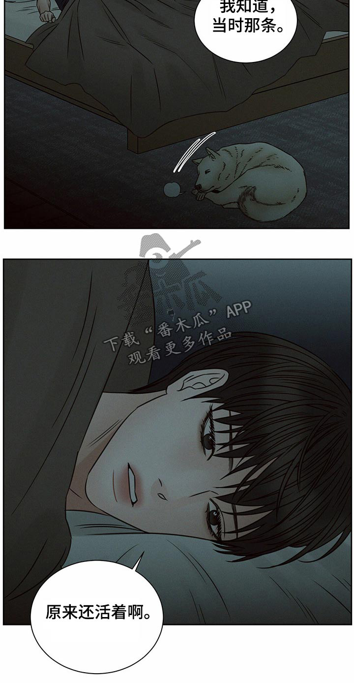 《即便你不爱我》漫画最新章节第115章：【第二季】情绪激动免费下拉式在线观看章节第【1】张图片