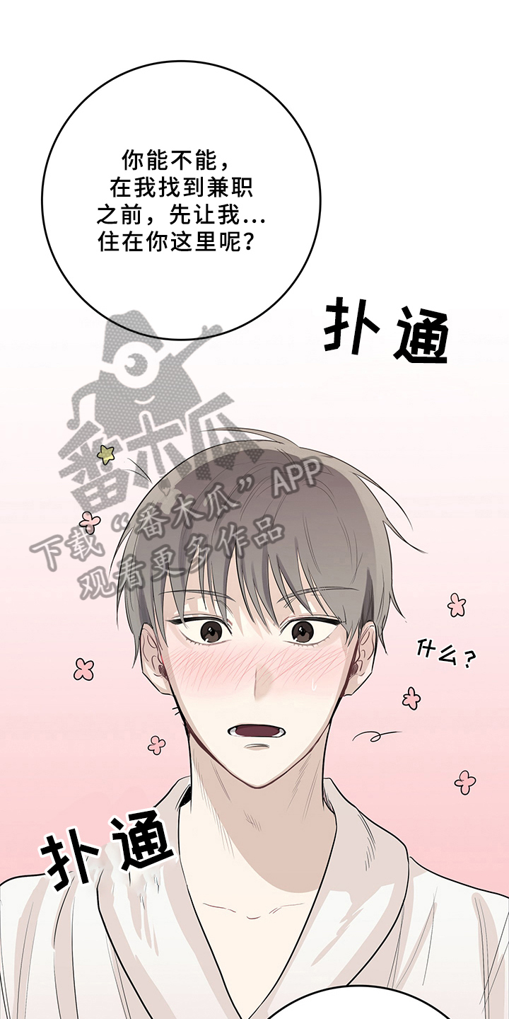 《灵感与期待》漫画最新章节第4章：天降男友：睡不着免费下拉式在线观看章节第【16】张图片