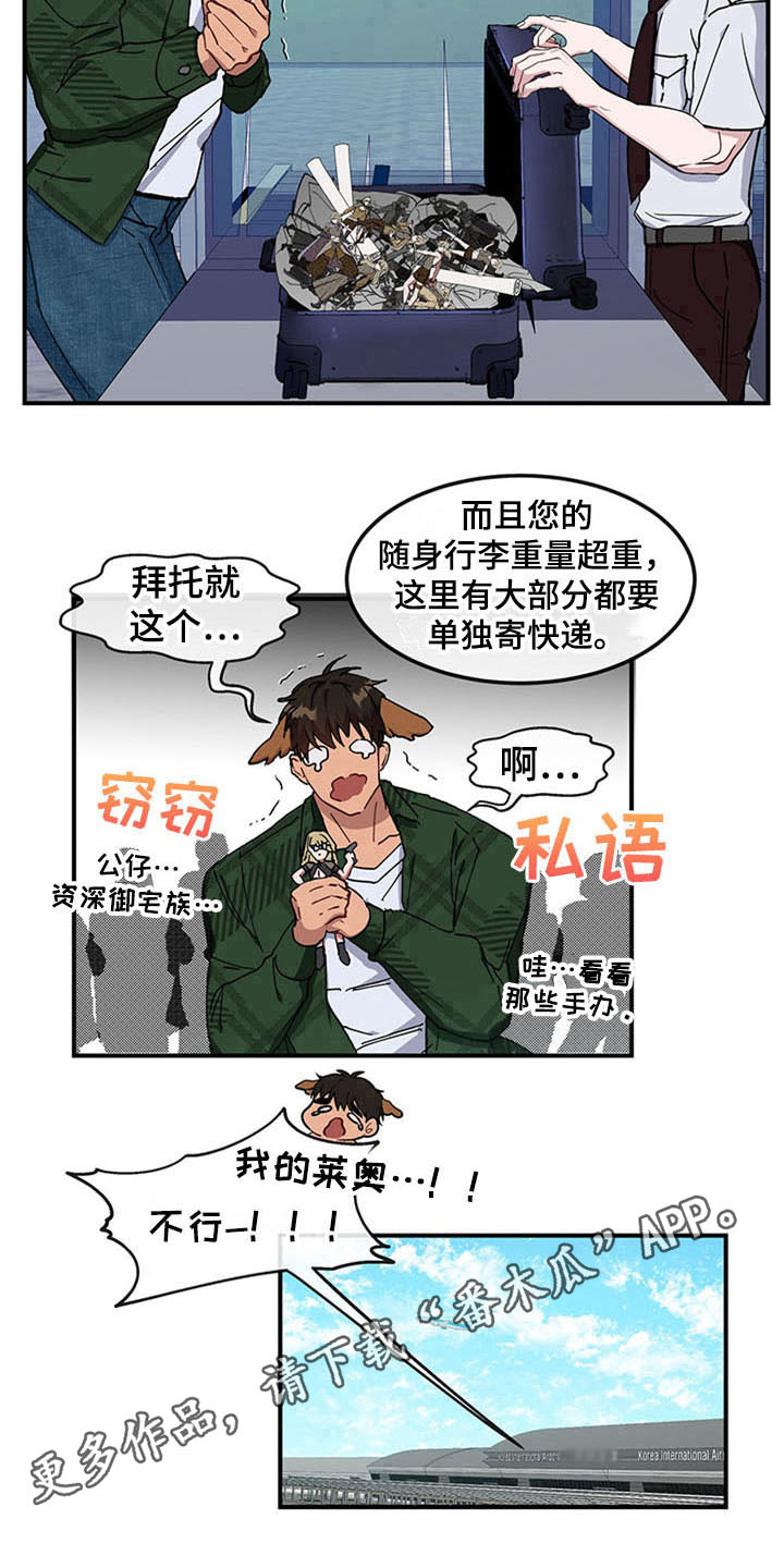 《灵感与期待》漫画最新章节第16章：空乘服务：旅行准备免费下拉式在线观看章节第【1】张图片