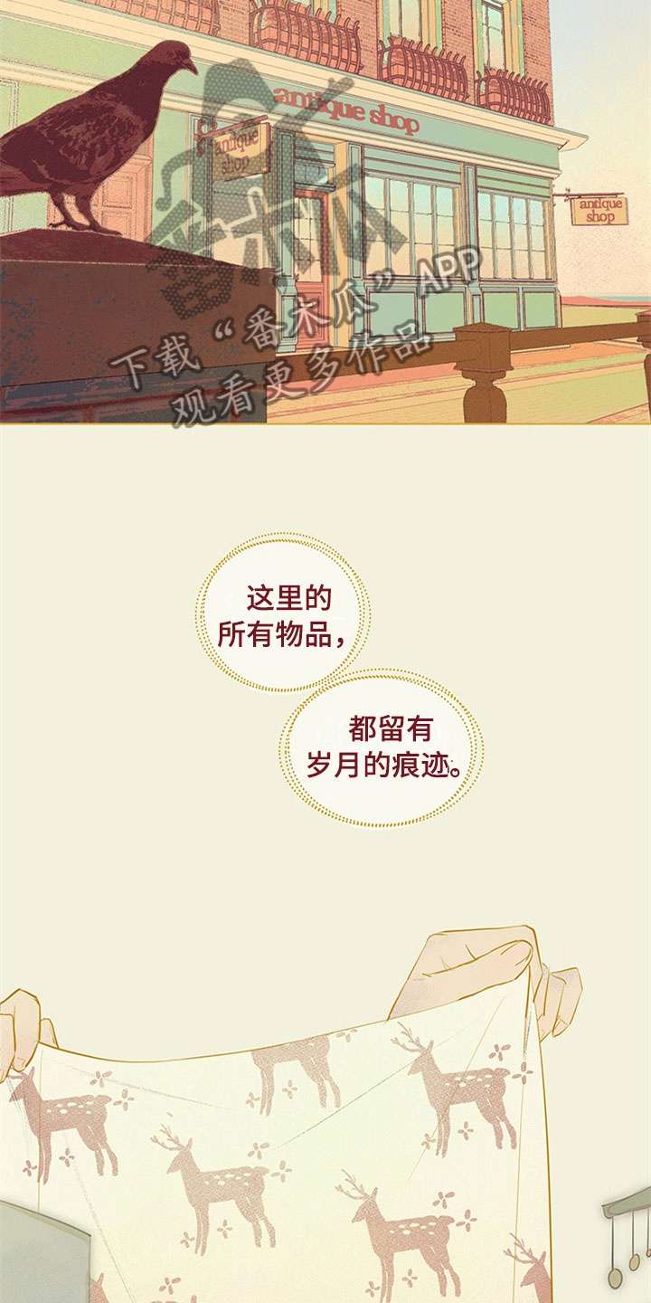 《灵感与期待》漫画最新章节第27章：新古董伙伴：随机搭档旅行免费下拉式在线观看章节第【8】张图片