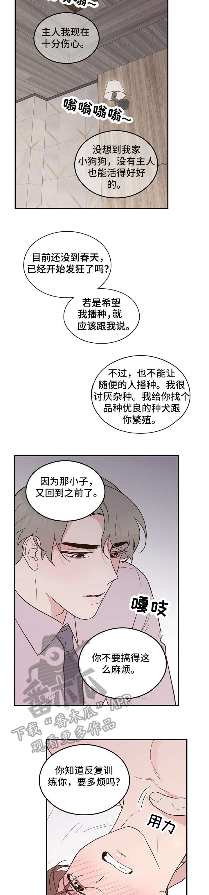 《恋情演习》漫画最新章节第8章：主人免费下拉式在线观看章节第【3】张图片