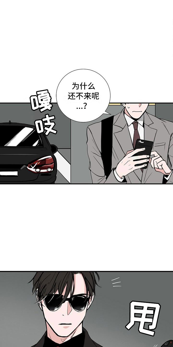 《猫狗攻防战》漫画最新章节第1章：初遇免费下拉式在线观看章节第【15】张图片