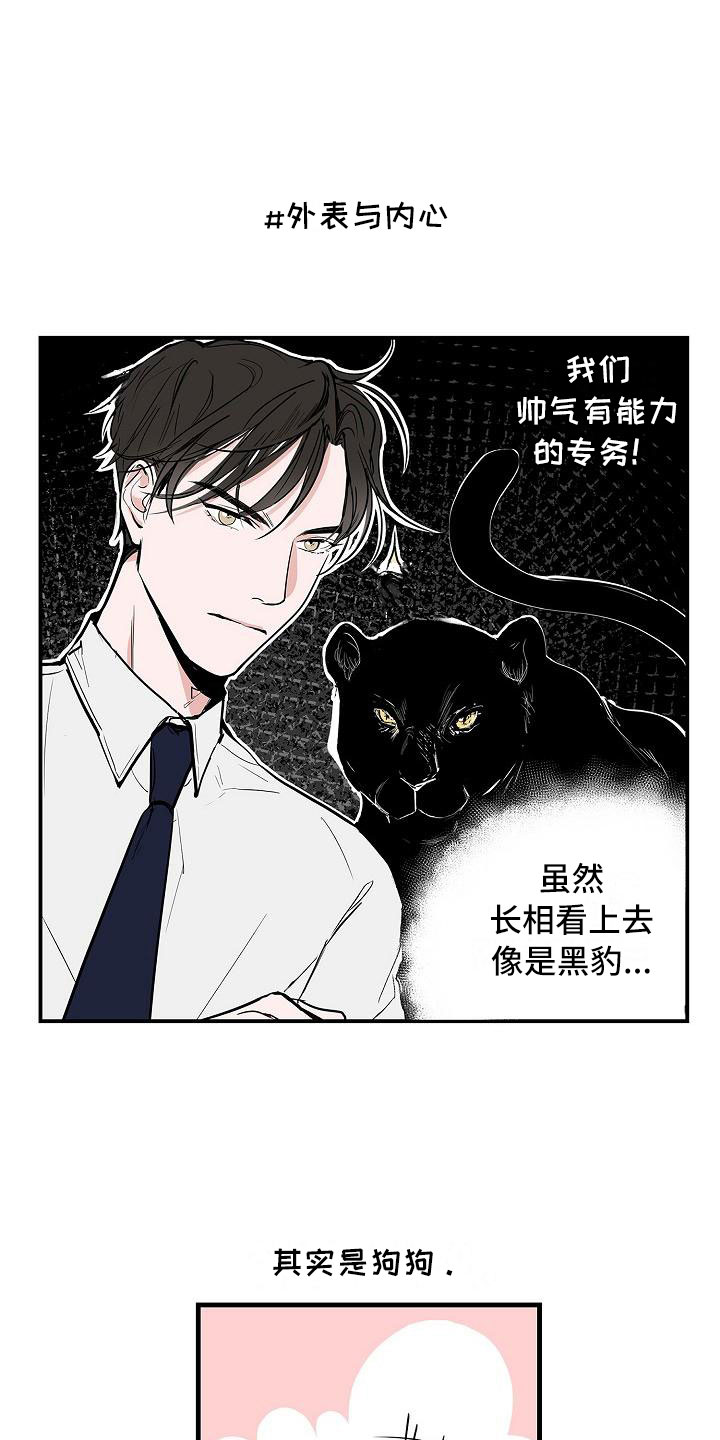 《猫狗攻防战》漫画最新章节第2章：反差免费下拉式在线观看章节第【4】张图片