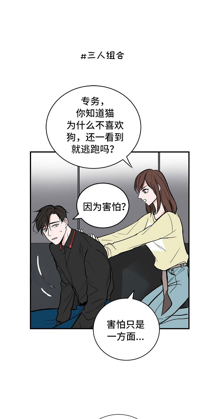 《猫狗攻防战》漫画最新章节第4章：狗兄弟免费下拉式在线观看章节第【10】张图片