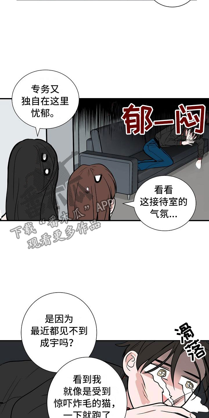 《猫狗攻防战》漫画最新章节第4章：狗兄弟免费下拉式在线观看章节第【12】张图片