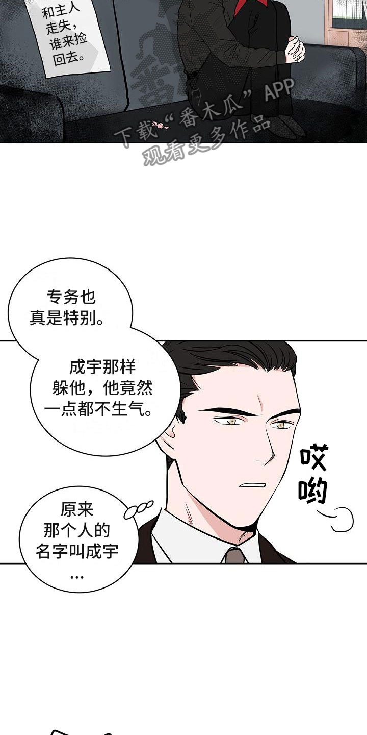 《猫狗攻防战》漫画最新章节第6章：体贴免费下拉式在线观看章节第【20】张图片