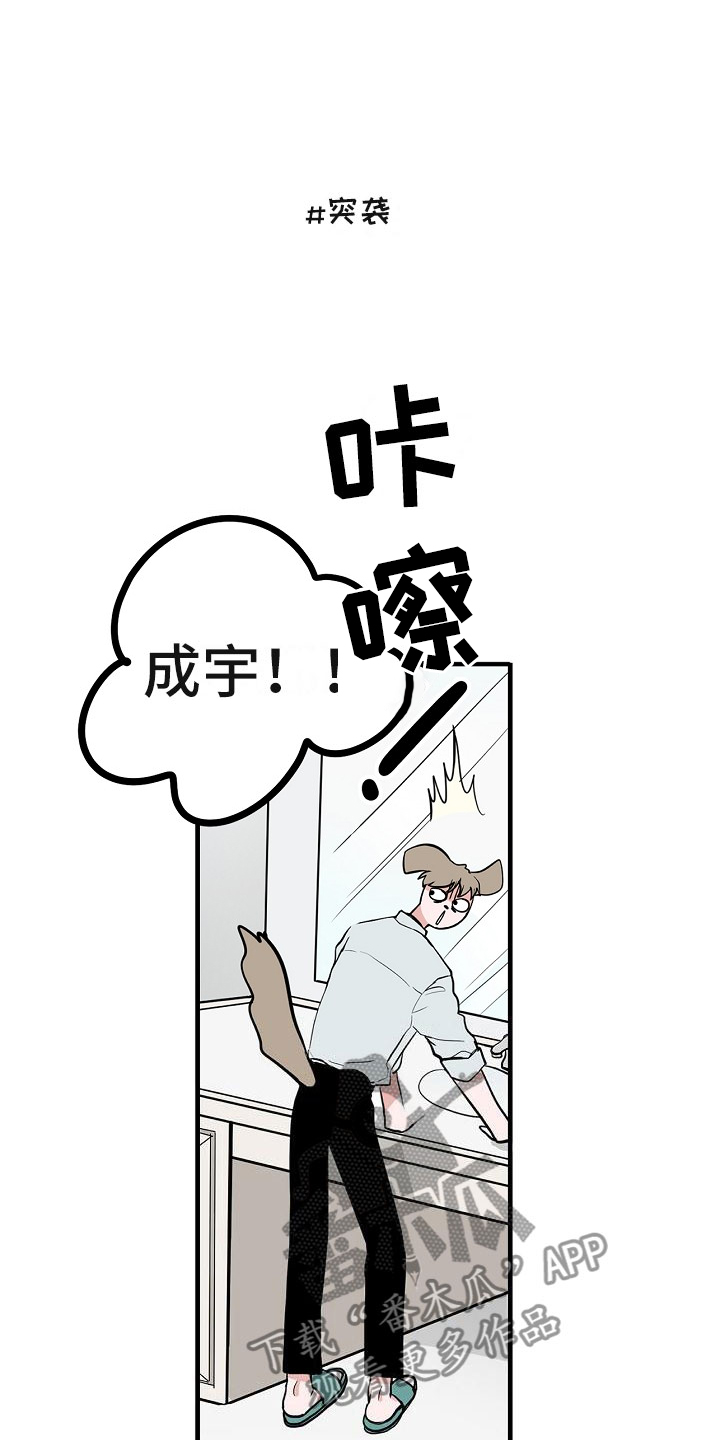 《猫狗攻防战》漫画最新章节第7章：厚脸皮免费下拉式在线观看章节第【16】张图片