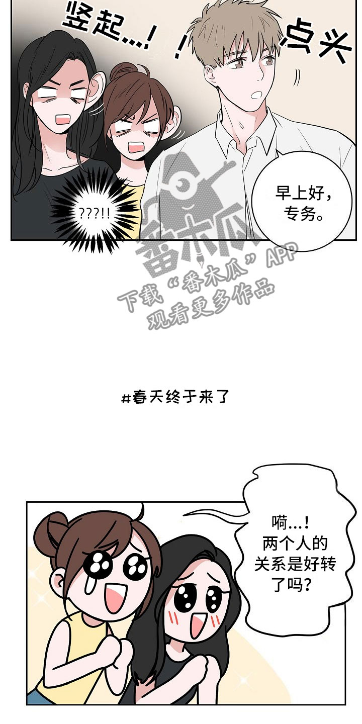 《猫狗攻防战》漫画最新章节第13章：春天免费下拉式在线观看章节第【6】张图片