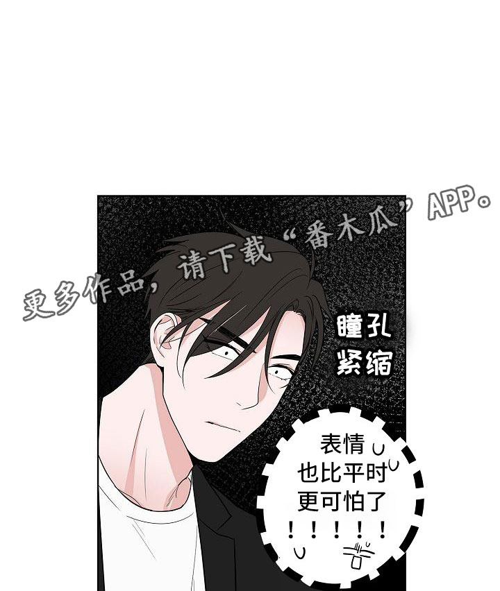 《猫狗攻防战》漫画最新章节第14章：上天台免费下拉式在线观看章节第【3】张图片