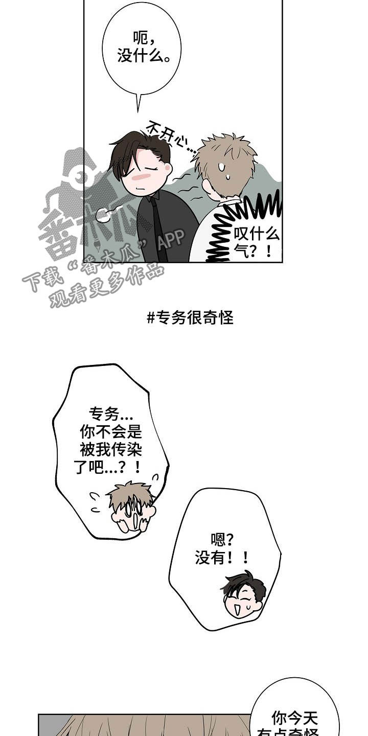 《猫狗攻防战》漫画最新章节第21章：打听免费下拉式在线观看章节第【6】张图片