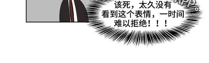 《猫狗攻防战》漫画最新章节第22章：礼物免费下拉式在线观看章节第【1】张图片